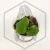20260217_165338.webp