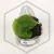 20260217_165405.webp