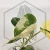 20260217_174453.webp