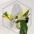20260217_174457.webp