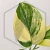 20260217_174903.webp
