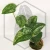 20260217_175312.webp