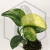20260217_175356.webp