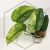 20260217_175410.webp