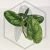 20260217_175501.webp