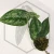 20260217_175520.webp
