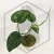 20260217_175534.webp