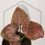 20260218_104303.webp