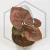 20260218_104534.webp