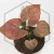 20260218_104552.webp