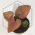 20260218_104559.webp