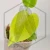 20260218_110602.webp