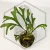 20260218_111355.webp