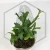 20260218_111801.webp