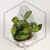 20260218_112043.webp