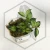 20260218_112047.webp