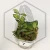20260218_112107.webp