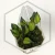 20260218_112141.webp
