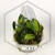 20260218_112148.webp