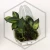 20260218_112154.webp