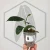 20260218_112326.webp