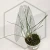 20260218_112554.webp