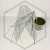 20260218_112638.webp