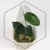 20260218_113011.webp