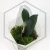 20260218_113022.webp