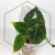 20260218_113052.webp