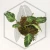 20260218_121442.webp
