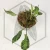 20260218_121525.webp