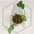 20260218_121550.webp