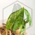 20260218_121823.webp