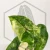 20260218_121903.webp