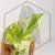 20260218_123122.webp