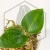 20260218_130012.webp