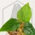 20260218_130806.webp