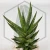 20260218_152955.webp