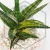 20260218_153136.webp