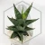 20260218_153356.webp