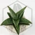 20260218_153652.webp