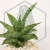 20260218_154504.webp