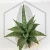 20260218_154507.webp