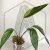 20260219_115040.webp