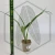 20260219_120205.webp