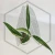 20260219_120244.webp