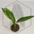 20260219_120257.webp