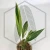 20260219_120329.webp