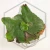 20260219_121814.webp